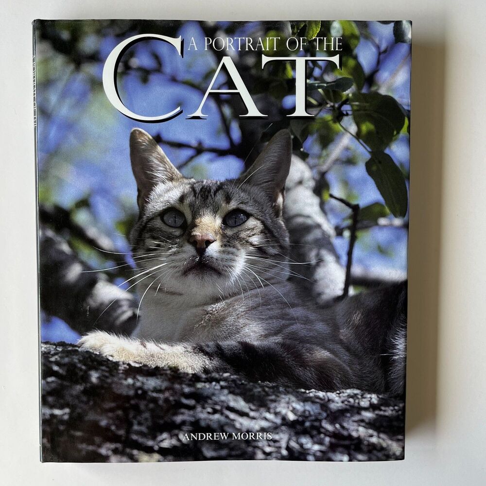 A Portrait of the Cat by Andrew Morris